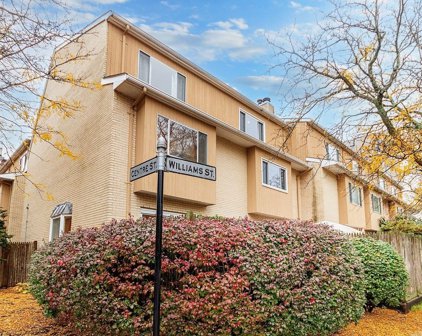 25 Williams Street Unit 4, Brookline