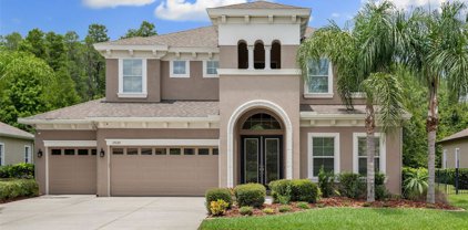 19329 Autumn Chase Court, Land O' Lakes