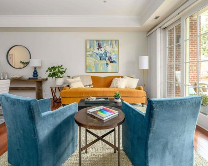 210 10th St Unit 101, Charlottesville