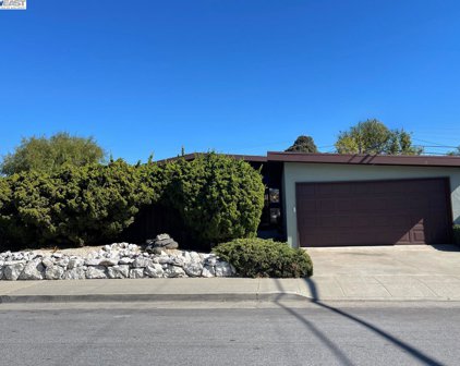2411 Holland St, San Mateo