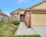 12427 Turchin Drive, Houston image