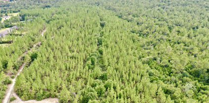 41 AC Welannee Boulevard, Laurel Hill