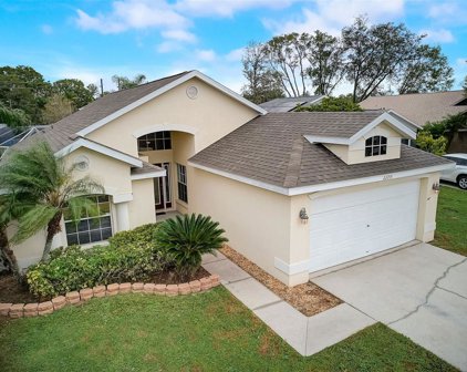 22715 Sills Loop, Land O' Lakes
