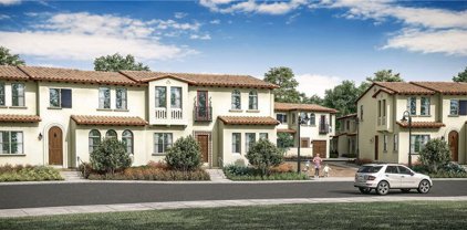 886 Francesca, Walnut