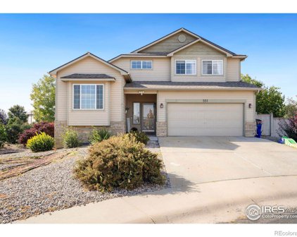 551 Kinnikinnik Court, Severance