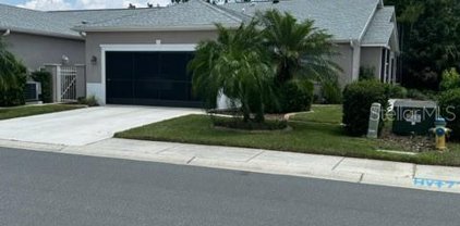 7203 Cleopatra Drive, Land O' Lakes