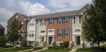684 Lambert Lane Unit #119-3, Bartlett