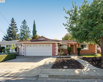 4142 Carol Ave, Fremont