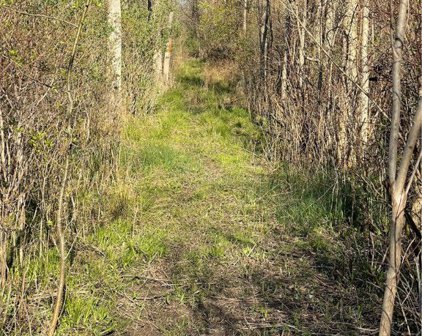 Drake Road  Road, Clarkson-262489