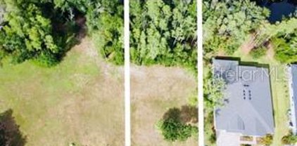 4012 Cove Lake Pl, Land O' Lakes