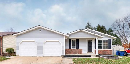 753 Mediterranean  Drive, Florissant