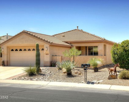 13481 N Holly Grape, Marana