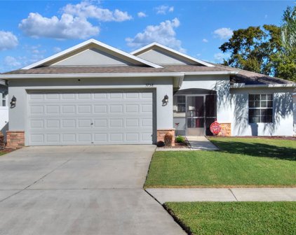 3758 Madbury Circle, Lakeland
