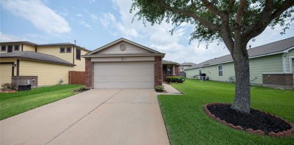 423 Sunset Colony Drive, Rosharon