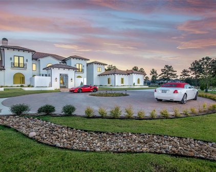 3 Steeldust Court, Tomball