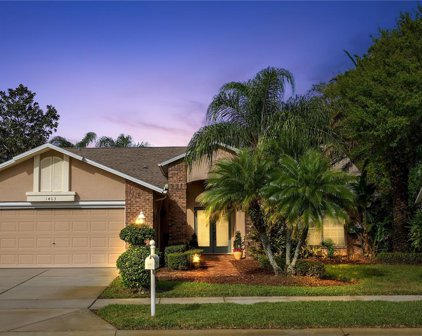 1403 Canberley Court, Trinity