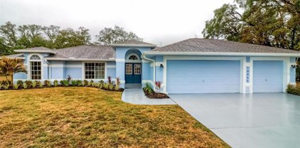 10055 Sleepy Willow Court, Spring Hill