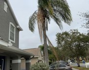 11237 Cypress Reserve Drive, Tampa image