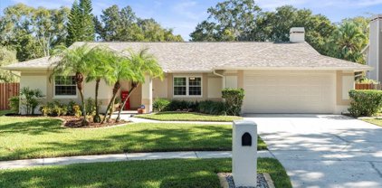 16917 Cedar Bluff Drive, Tampa