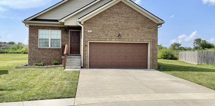 781 Friesian Ct, Shelbyville