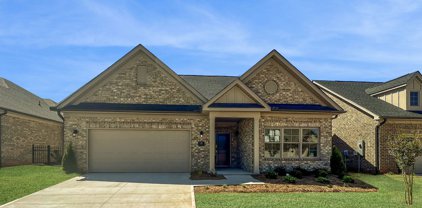 19 Lifestyle Court, Greer