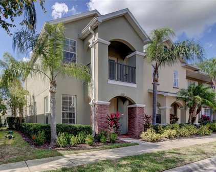 14150 Stilton Street, Tampa