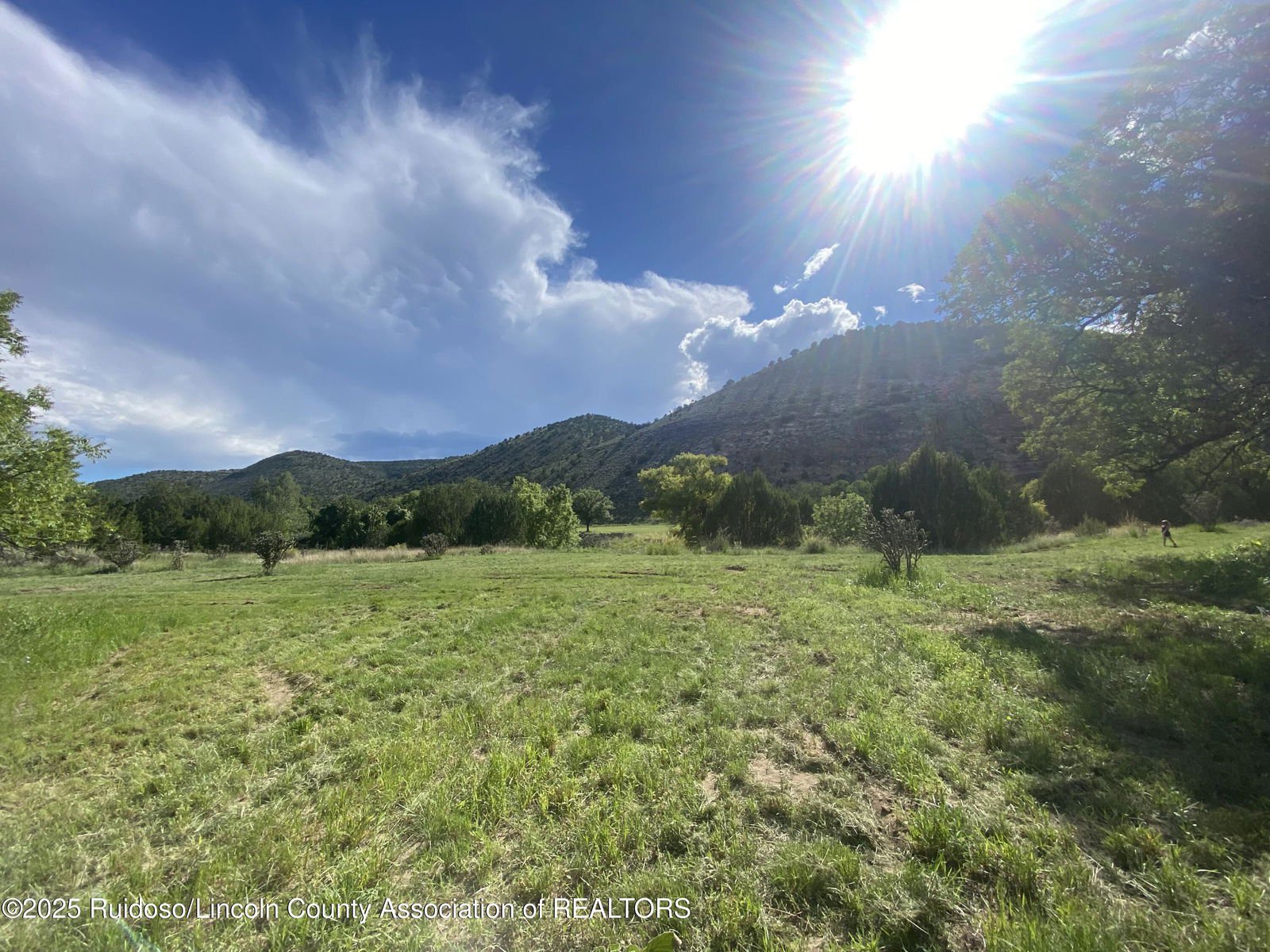 10276 highway 380 lincoln 88338