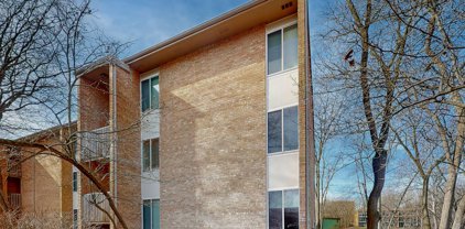 6018 E Lake Drive Unit #1D, Lisle