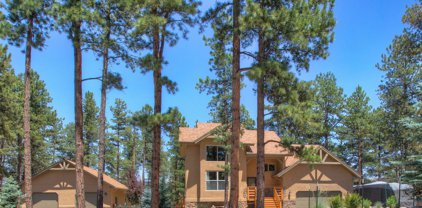 1421 Eagle Trace Court, Woodland Park