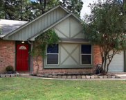 6927 White Tail Drive, Spring image