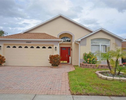 10807 Brown Trout Circle, Orlando