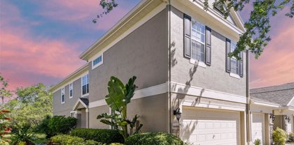 11111 Windsor Place Circle, Tampa
