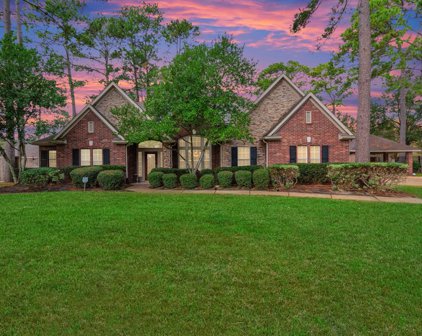 16607 Rose View Court, Cypress