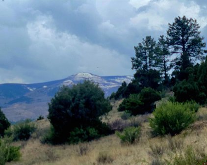 1045 Bear Creek Circle, South Fork