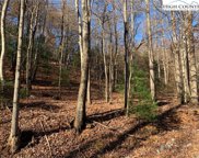 Lot 1 Wolf Den Lane, Lenoir image