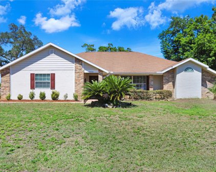 29341 Downy Place, Wesley Chapel