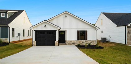 134 Lowe, Chesnee