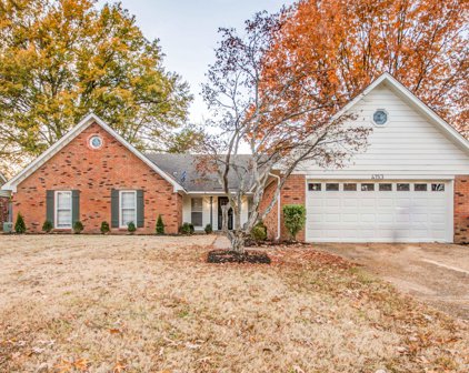 4153 Old Village Ln, Memphis