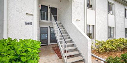 288 Cypress Lane, Oldsmar