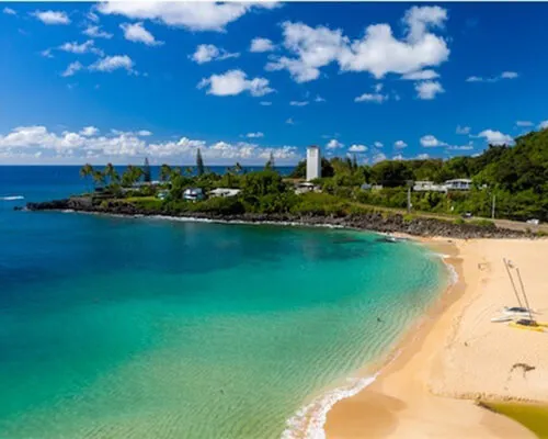 Waimea Real Estate