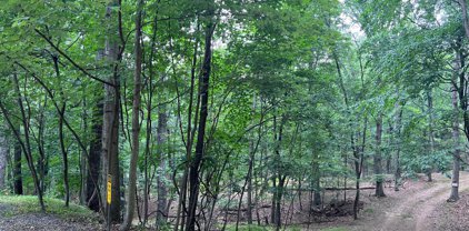 Oak Forest Ln, Berkeley Springs