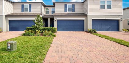 2561 Red Spruce Way, Ocoee