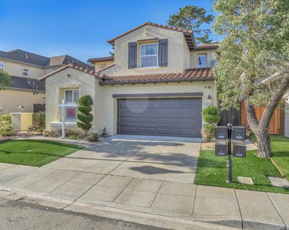 3828 Adriatic Way, San Bruno
