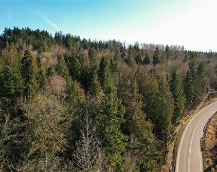 34987 Thomas Road E, Eatonville