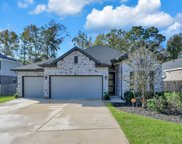 223 Fawn Valley Trail, Willis image
