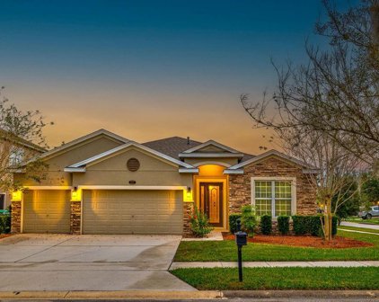 207 Appleton Lane, Deland