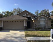 2604 Clareside Drive, Valrico image