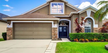 4508 Havelocke Drive, Land O' Lakes