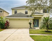 20005 Nob Oak Avenue, Tampa image