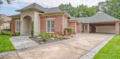 13502 Winter Creek Court, Houston